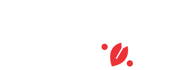 Lilium-ceramics.com